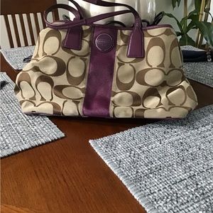 Beautiful purple accents on this purse.